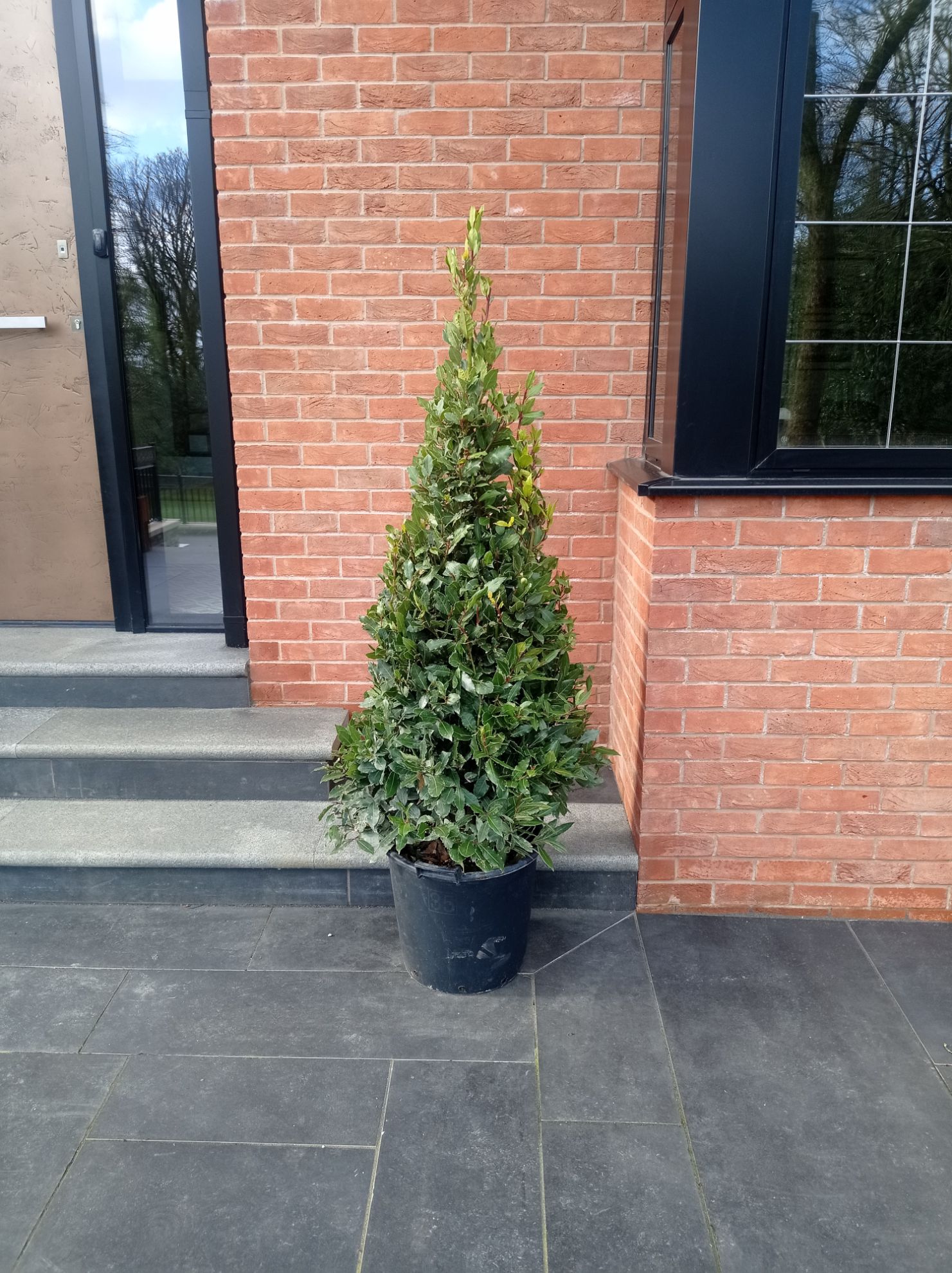 Your store. bay cones 120cm